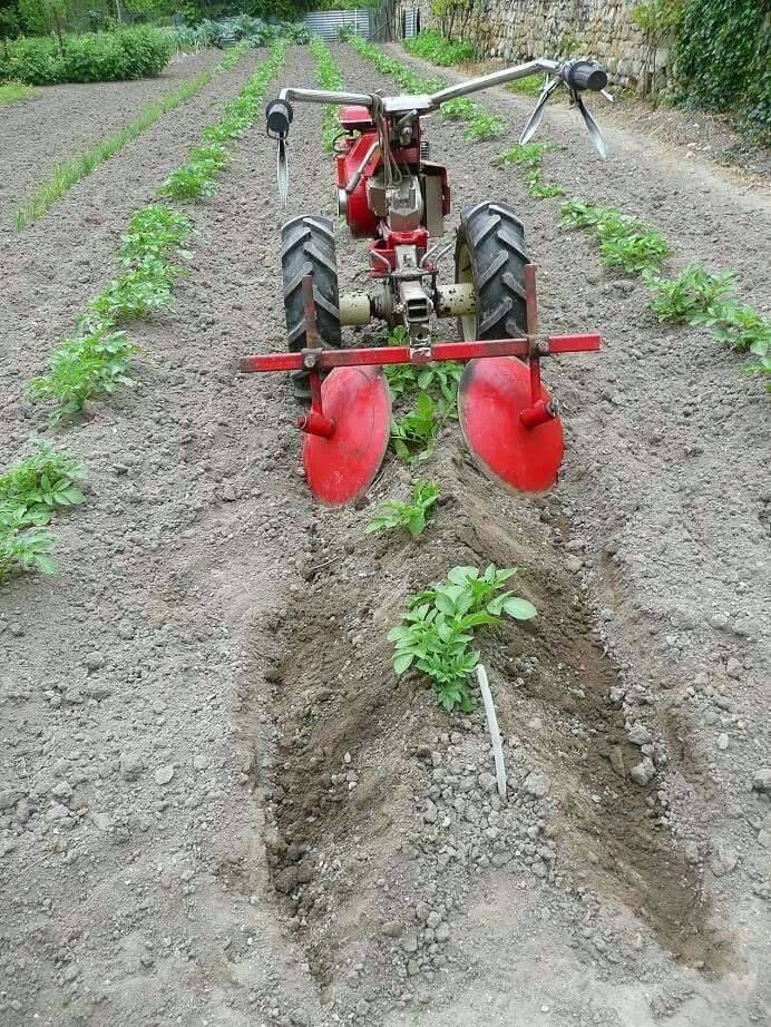 Культиватор для посадки картофеля