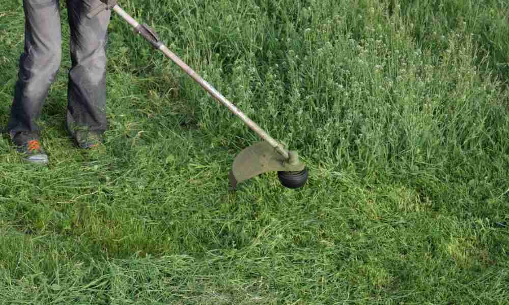 Как выбрать триммер для травы на даче