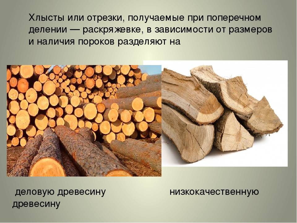 Виды пиломатериалов по породам древесины и способу обработки