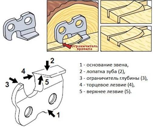 Как правильно выбрать угол заточки цепи бензопилы для продольного и поперечного пиления в зависисмости от материала