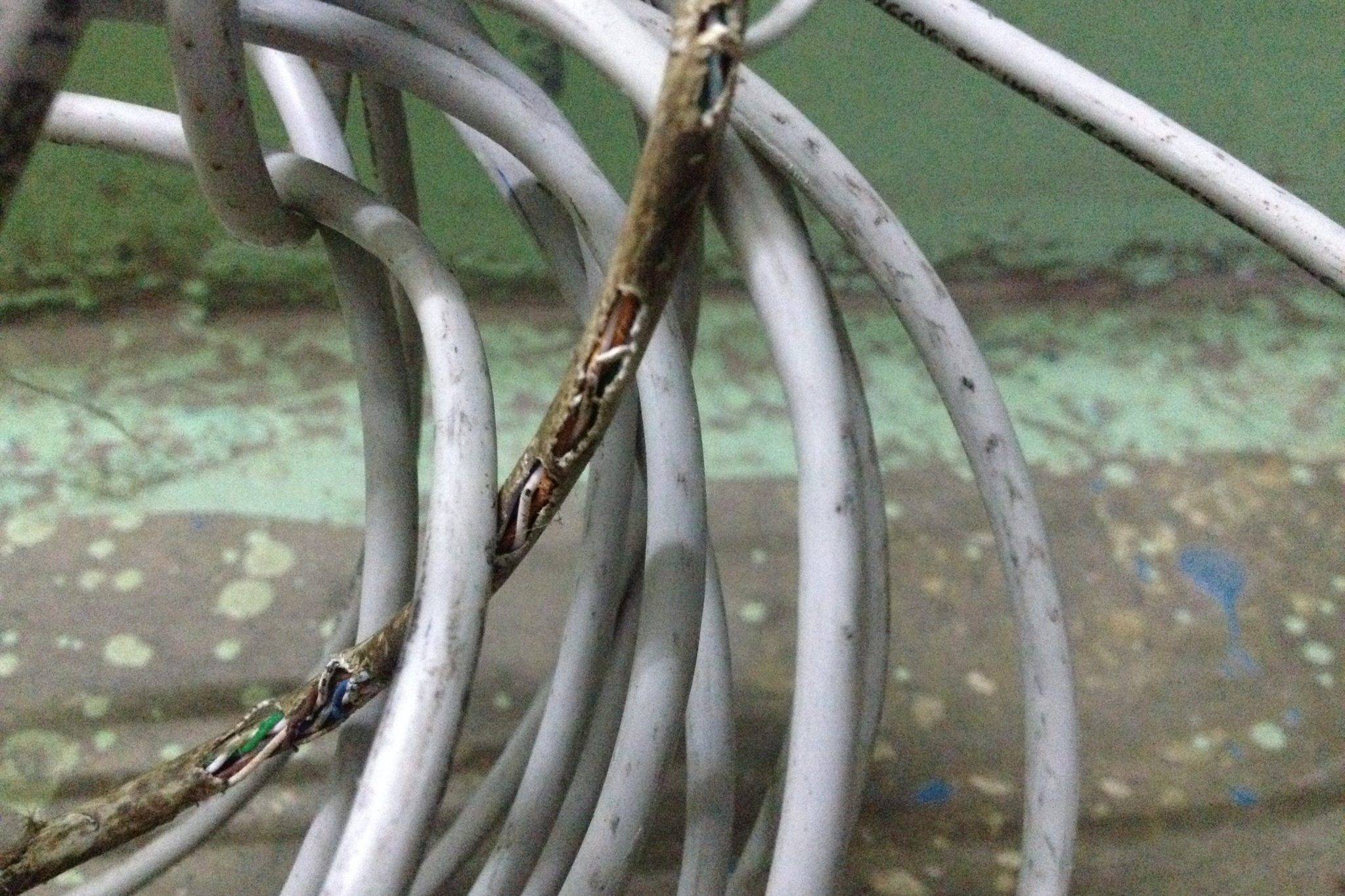 Как подключиться к кабелю не разрезая его