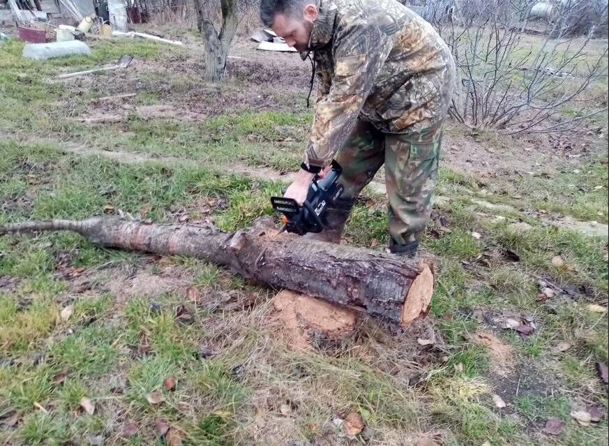 Можно ли в лесу распиливать валежник бензопилой | kb-gorizont.ru