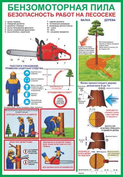 Безопасная пила. Правила техники безопасности при работе с бензопилой. Техника безопасности при работе с бензопилой при валке деревьев. Охрана труда при валке деревьев. Бензомоторная пила безопасность работ на лесосеке.