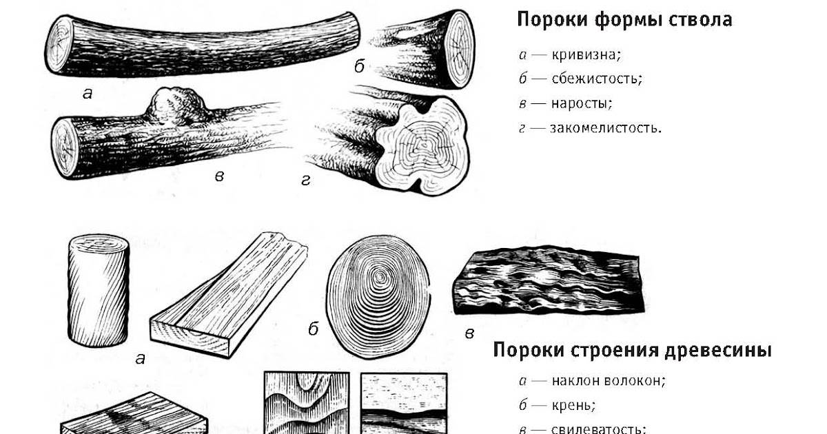 Пороки древесины