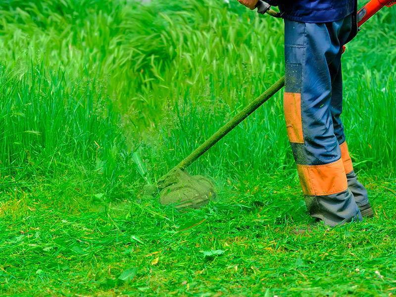Как ухаживать за газонокосилкой и триммером, чтобы они прослужили