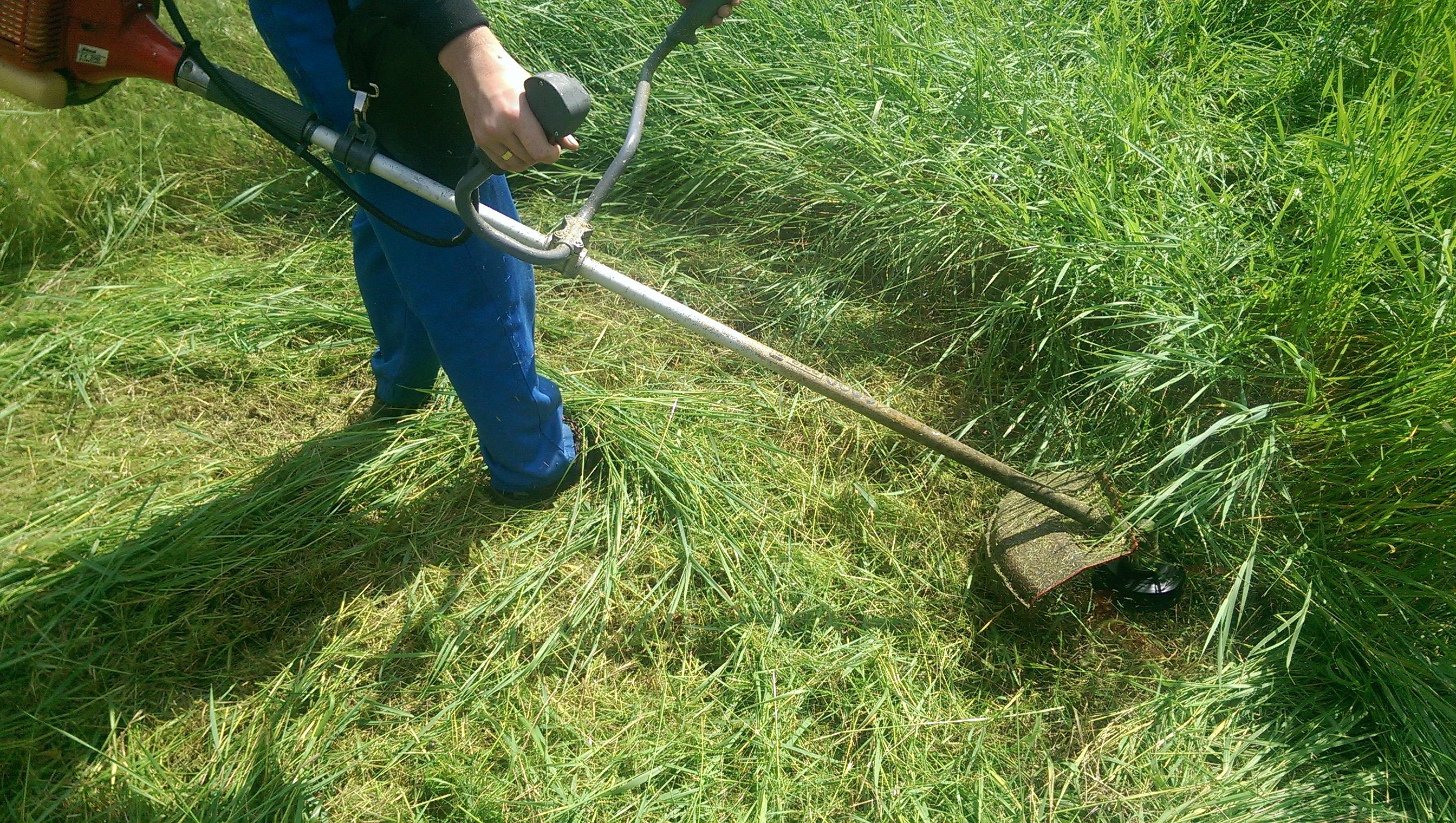 Почему нельзя косить мокрую траву триммером бензиновым
