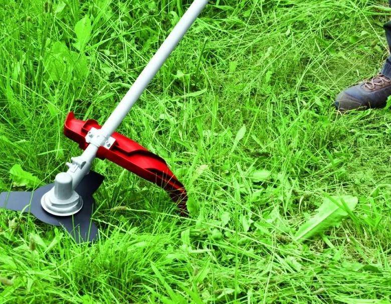 Можно ли стричь газон после дождя