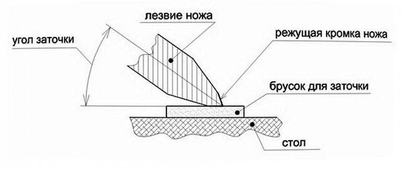 Заточка ножей: как правильно точить, чем, угол заточки кухонного и охотничьего ножа, как профессионально точат