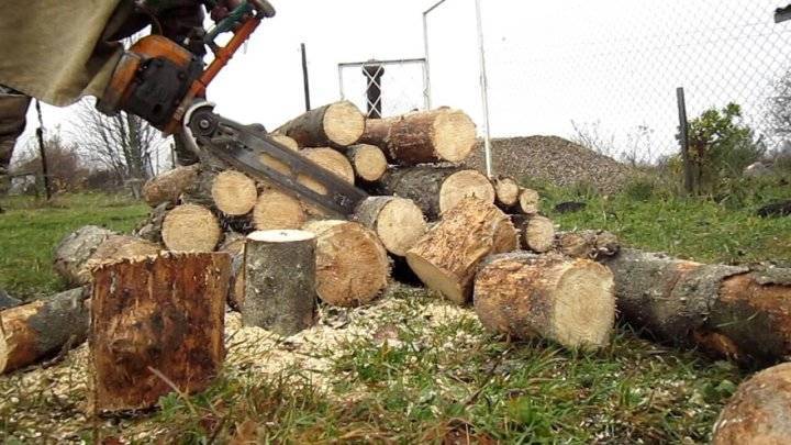 Как заготовить дрова на зиму, как нарубить и насушить лес своими руками