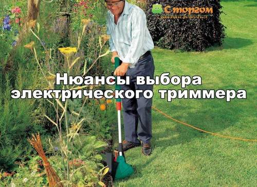 Как выбрать триммер для травы? подробная инструкция для покупателей