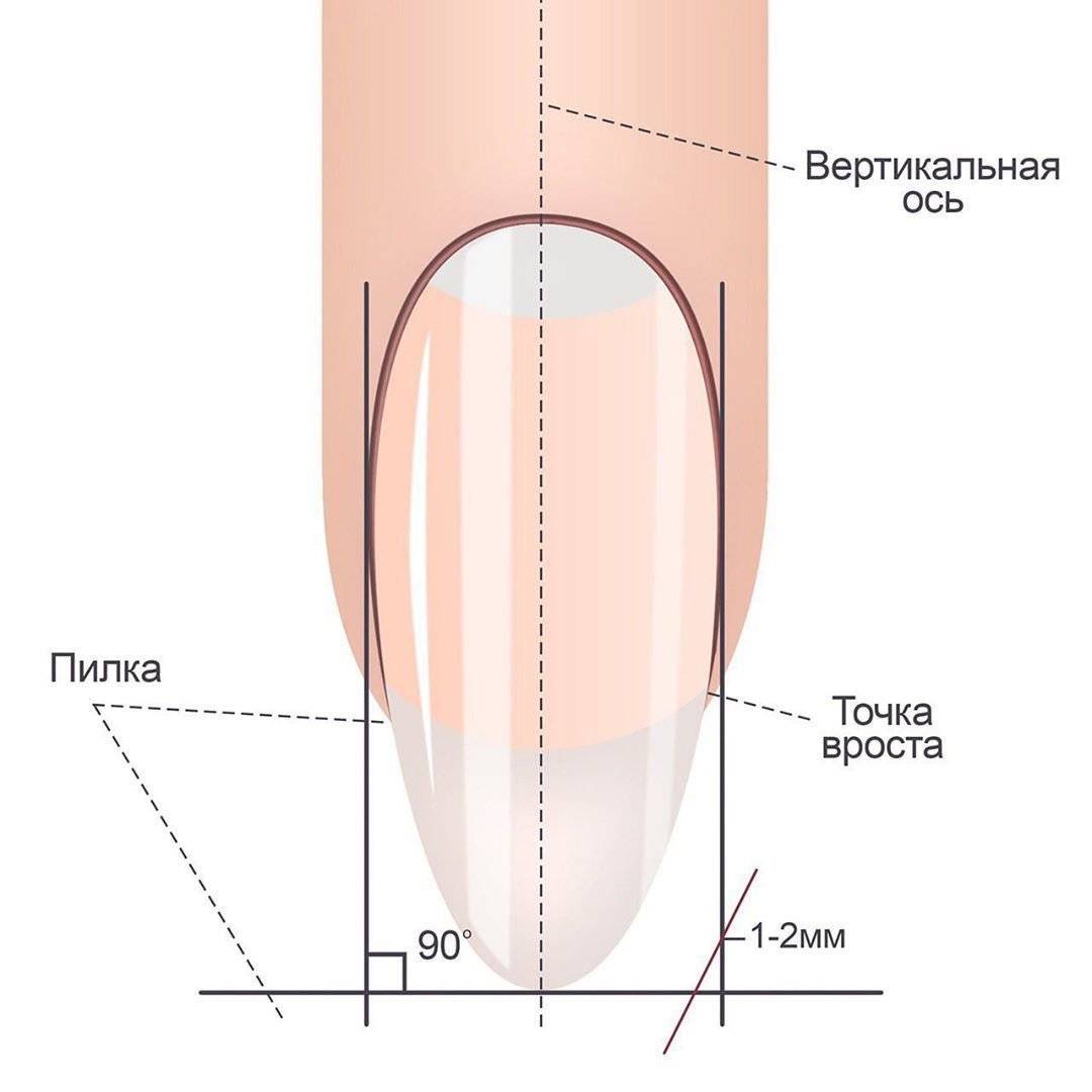 Как пилить форму ногтей. Схема опила формы ногтей овал. Схема формы ногтей опила квадратной формы. Форма ногтей миндаль схема опила. Опил формы овал схема.