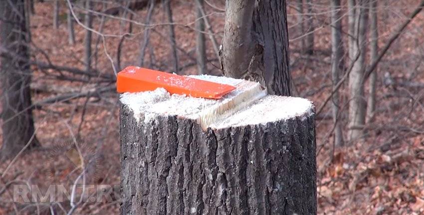 Как правильно спилить дерево бензопилой – все по шагам + видео