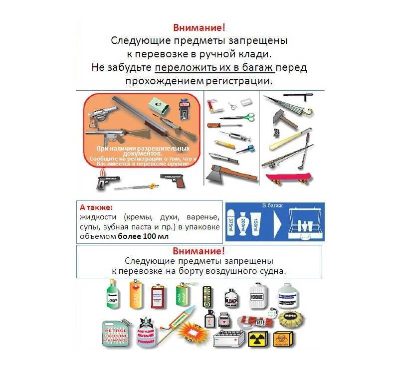 Можно ли взять торт в ручную кладь в самолет