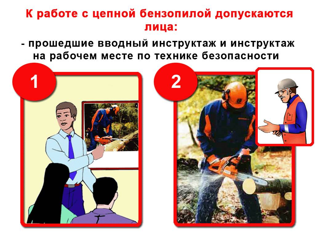 Работа бензопилой: как правильно и безопасно использовать бензопилу