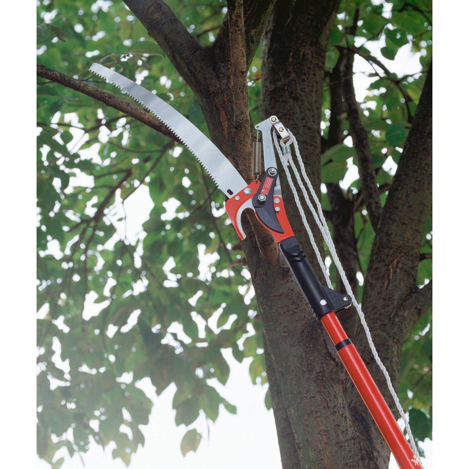 Секатор для обрезки высоких деревьев: телескопические садовые сучкорезы, инструмент для кустов своими руками, ручная пила с удлинителем