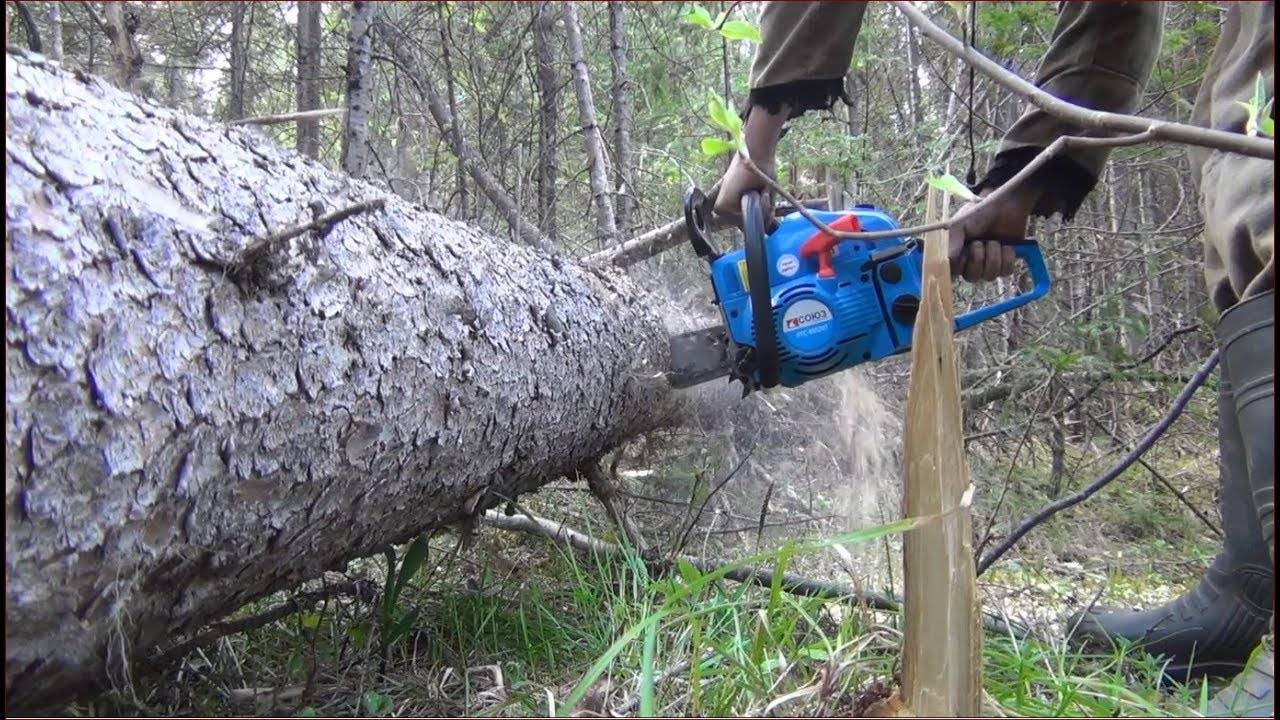 Как спилить толстое дерево бензопилой - мастерок
