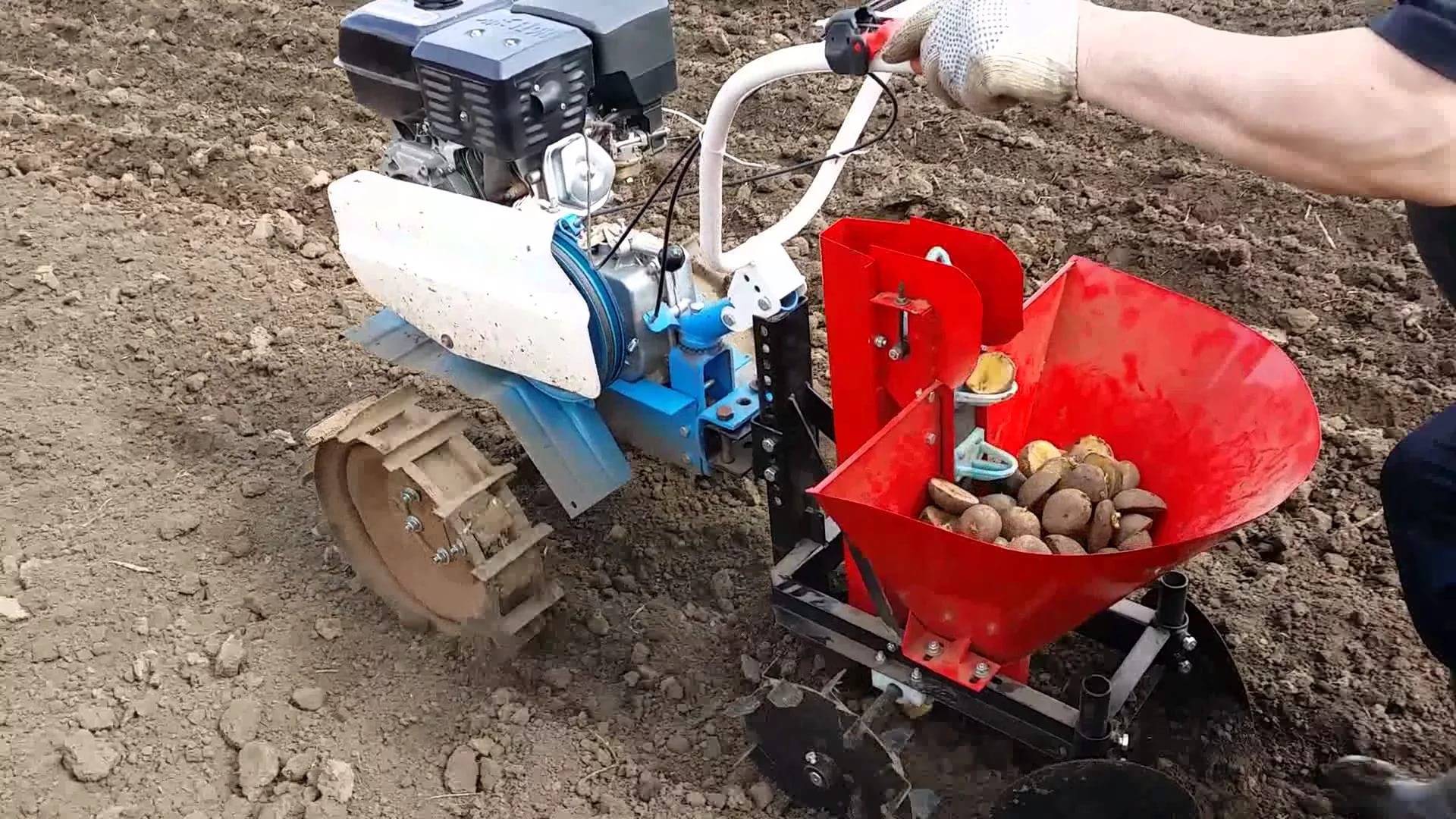 Посадка картофеля мотоблоком с окучником двухрядным, видео — как сажать картошку мотоблоком под окучник