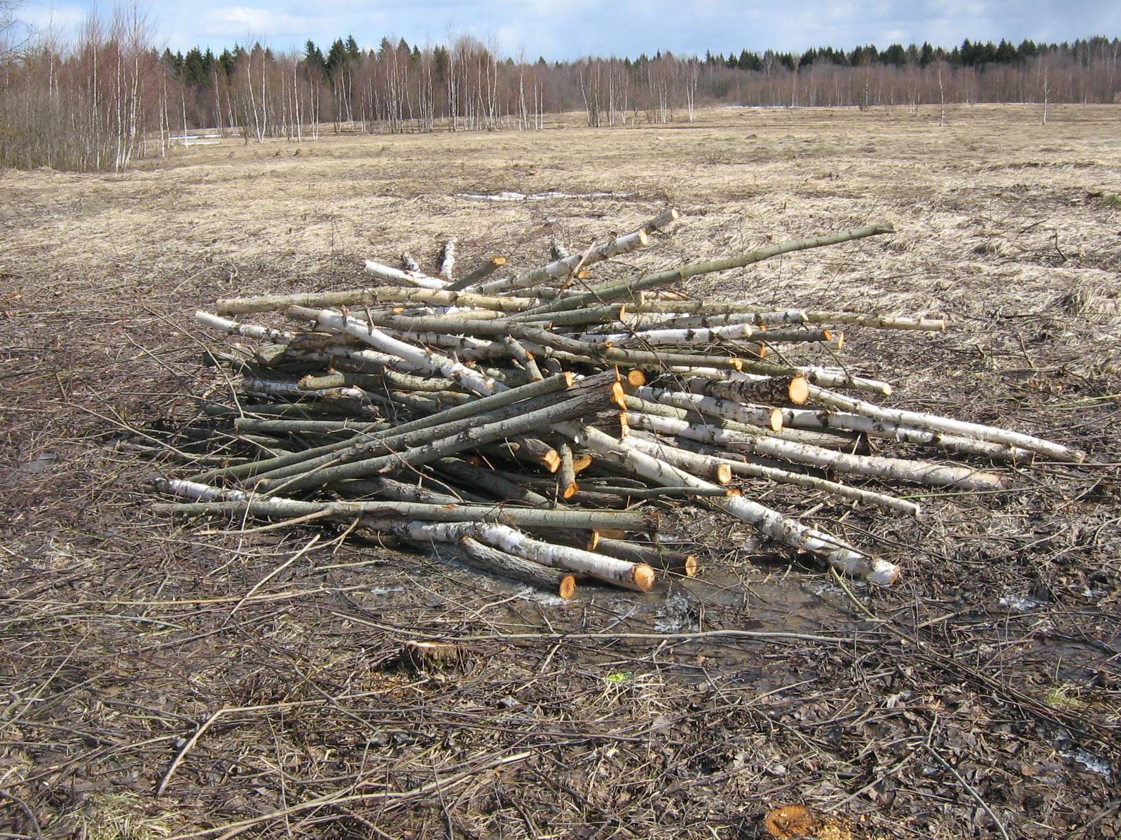 Разрешенно ли пилить дрова на землях сельхозназначения