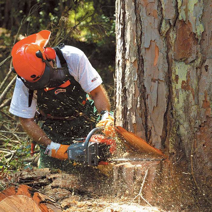 Работа с бензопилой: полезные советы, которые помогут эффективно и безопасно пользоваться инструментом, а также как правильно спилить дерево в нужном направлении