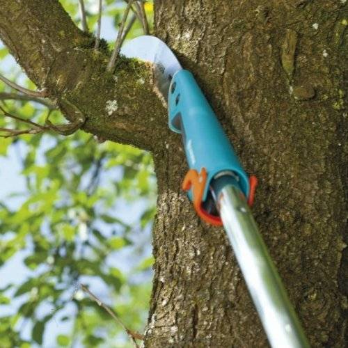 Сучкорез для обрезки деревьев